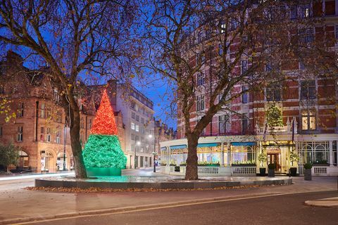 La foto dell'albero di Natale di Connaught 2018