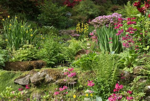 Giardino roccioso nel bosco