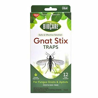 Trappole BioCare Gnat Stix