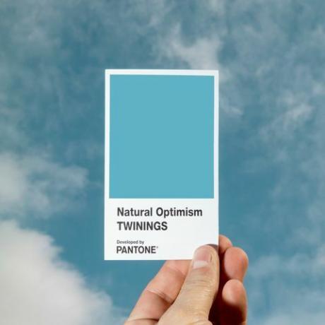 Gemellaggi Infusioni Ottimismo naturale in associazione con Pantone