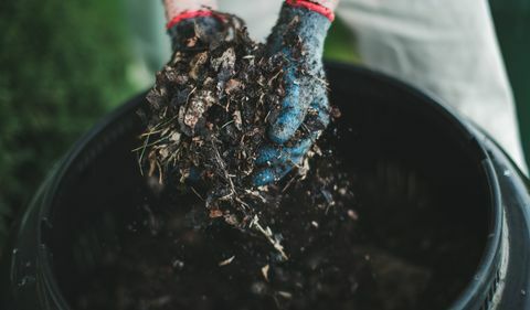 come fare il compost, l'uomo tende le mani con i guanti da giardinaggio tendendo le mani piene di compost dal suo bidone del compost