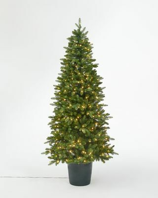 Albero di Natale pre-illuminato in vaso verde Bala, 7 piedi