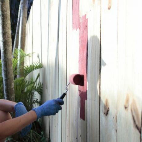 la giovane donna sta dipingendo una recinzione, controlla le mie altre foto di questa serie