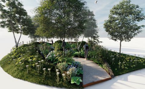 rhs giardino balneare della foresta, rhs feature garden, progettato da dave green, rhs hampton court palace garden festival 2022