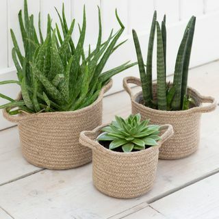 Set di 3 vasi per piante intrecciati