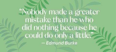 citazione di Edmund Burke