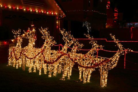 Luci di renne nel giardino davanti - Luci di Natale