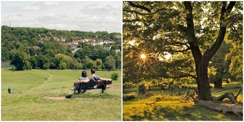 Hampstead Heath / Richmond Park, i migliori luoghi da picnic di Londra