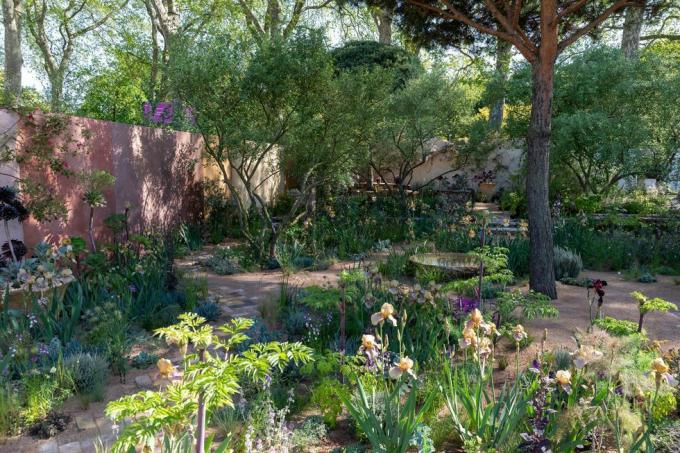 Chelsea Flower Show 2023 Nurture Landscapes Garden Disegnato Da Sarah Price