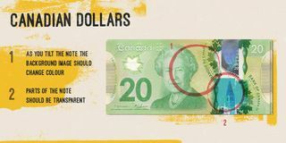 Dollaro canadese - segni contraffatti