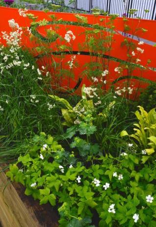 RHS Chatsworth Flower Show - bordi dei fiori