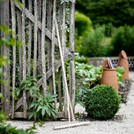 Idee regalo per il giardinaggio a meno di £ 35