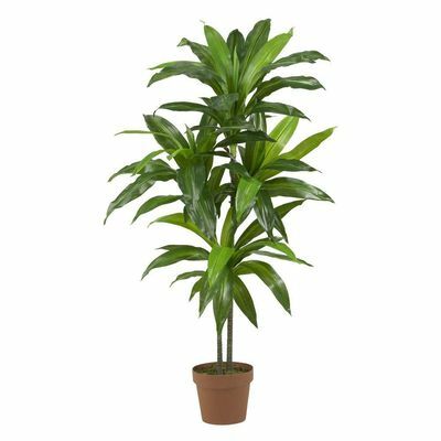 Real Touch 48 pollici. H Pianta di seta Dracaena verde