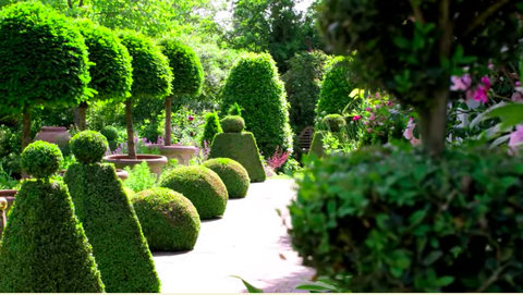 alan titchmarsh's garden nella sua casa di hampshire