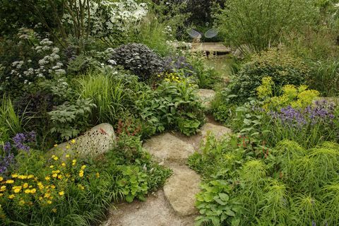 rhs garden per un futuro verde progettato da jamie butterworth hampton court palace garden festival 2021