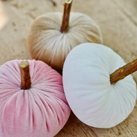 Trio di zucca in velluto pastello