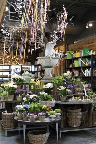 Terrain's Westport Store è sostanzialmente il paradiso delle piante