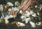 Asta di Sotheby per la più grande pittura al mondo di gatti