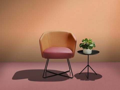 Mobili, sedia, prodotto, tavolo, design, proprietà del materiale, design d'interni, fotografia di still life, stanza, pianta, 