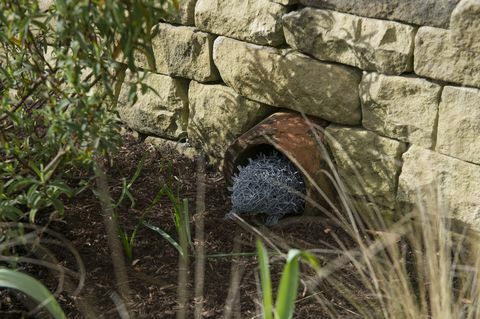 Il primo giardino permanente di Hedgehog Street nel Regno Unito è stato presentato a RHS Harlow Carr, nello Yorkshire del Nord