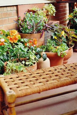 balcone con piante d'appartamento