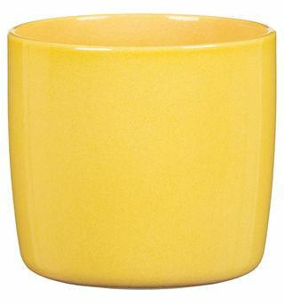 Vaso per piante Solare giallo