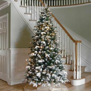 6.5 'Floccato Everest Fir Tree