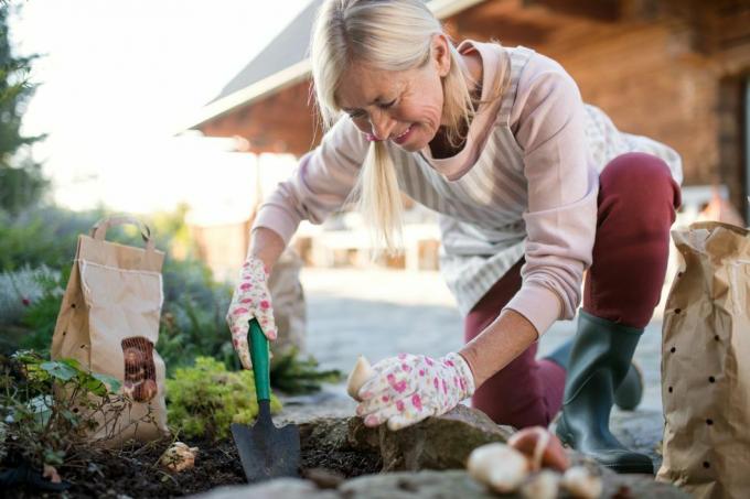 donna anziana che pianta bulbi all'aperto nel giardino autunnale, concetto di giardinaggio