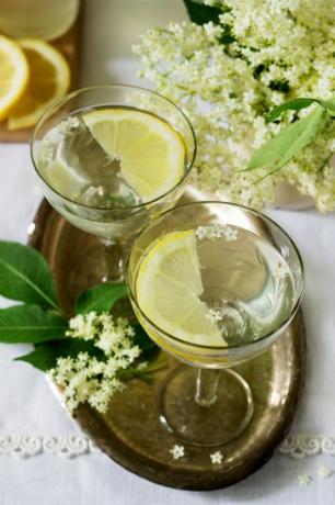 Una Bevanda Fresca Con Sciroppo Di Limone E Sambuco In Bicchieri Su Un Vassoio Di Metallo. Stile rustico.