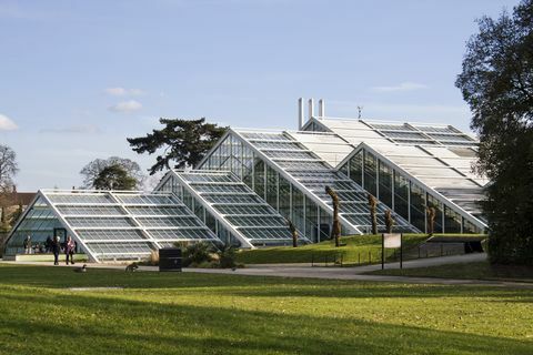 Conservatorio della Principessa del Galles a Kew Gardens