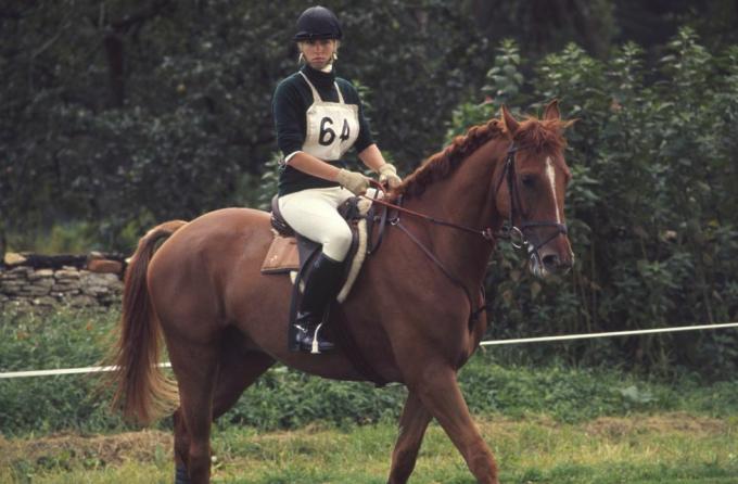 regno unito gennaio 01 la principessa anna in sella al suo cavallo a un evento di prove a cavallo intorno agli anni '70 foto di tim graham libreria fotografica tramite immagini getty