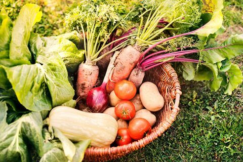 Cesto pieno di verdure nel giardino del cortile.