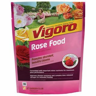 Alimento Vegetale Di Rosa