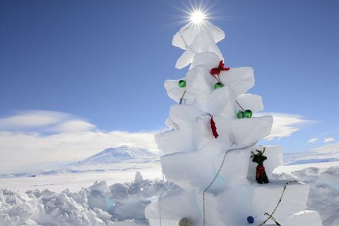 Albero di natale neve