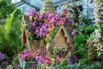 Informazioni su date e biglietti per il Kew Gardens Orchid Festival 2019