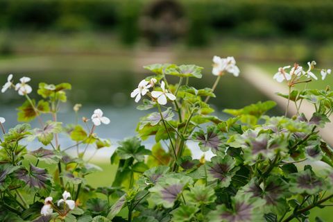 nuovo design per il giardino sommerso del kensington palace