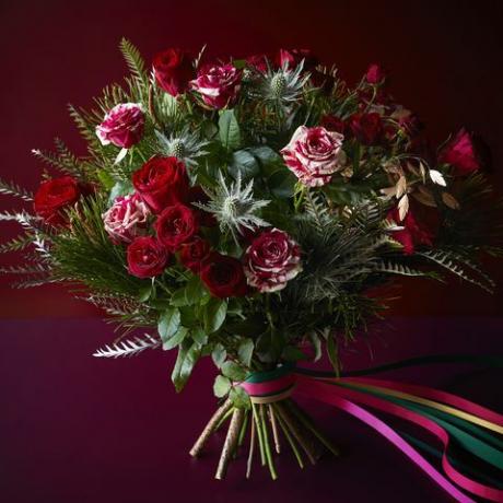 waitrose fiori di natale natale rosso