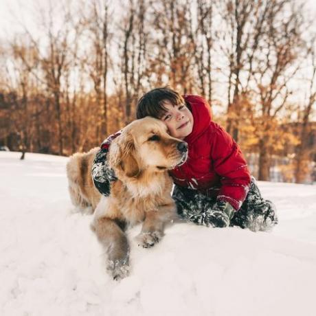 ragazzo con il cane nella neve quiz lirico di natale