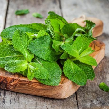 Mazzo di menta fresca biologica sul tagliere di legno