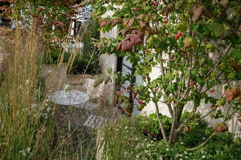 chelsea flower show 2021 balcone dei fiori, balcone giardino