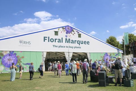 persone che visitano l'enorme tendone floreale al festival del giardino del palazzo di corte di rhs hampton, precedentemente spettacolo floreale di corte di hampton