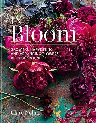 In Bloom: Coltivare, raccogliere e disporre i fiori tutto l'anno
