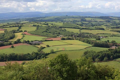 Follia di Kemeys - Coed Y Caerau Lane - viste - Savills