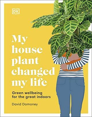 La mia pianta domestica ha cambiato la mia vita: benessere verde per i grandi spazi interni