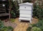 Come attirare le api nel tuo giardino