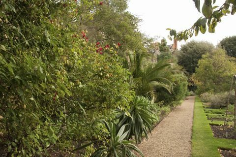 Chelsea Physic Garden, Londra, Inghilterra