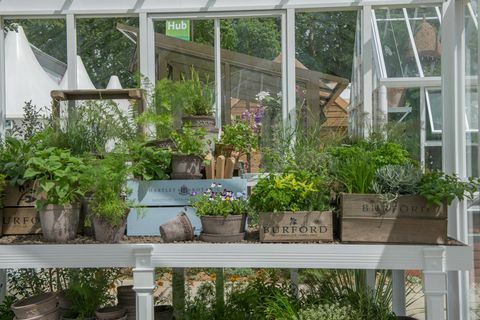 Hartley Botanic - Chelsea Flower Show