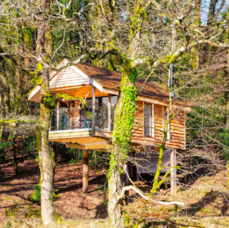 yeworthy eco casa sull'albero, eworthy, inghilterra