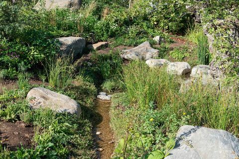 Giardino del 30 ° anniversario di Countryfile. Progettato da: Ann-Marie Powell. Giardino delle caratteristiche. RHS Hampton Court Palace Flower Show 2018