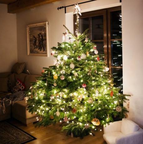 albero di natale quiz lirico di natale